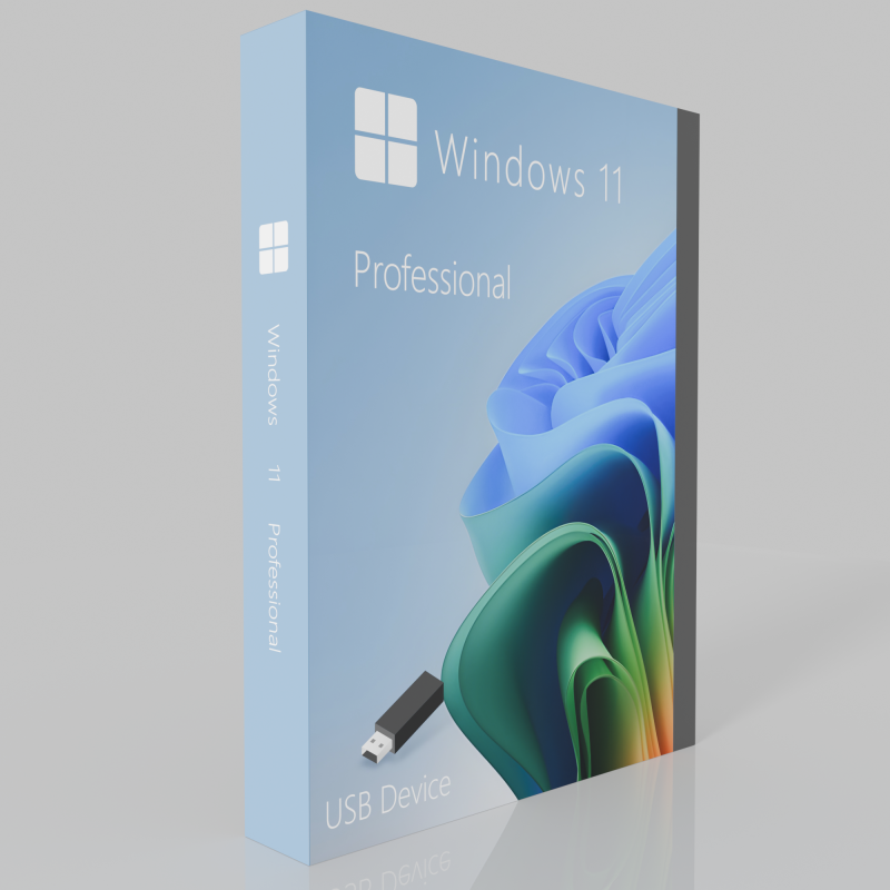 Buy Microsoft Windows 11 Pro 64-bit in Română - USB Retail Version