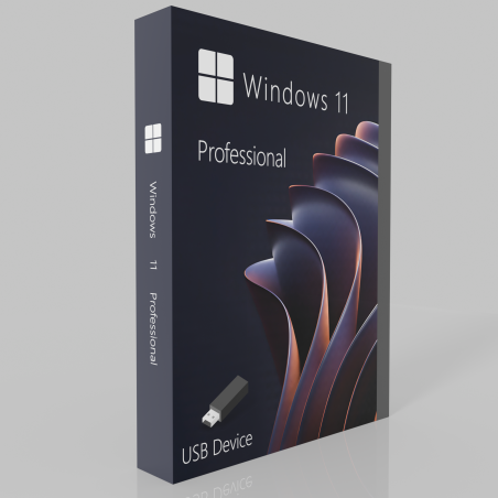 Buy Microsoft Windows 11 Pro 64-bit in Română - USB Retail Version