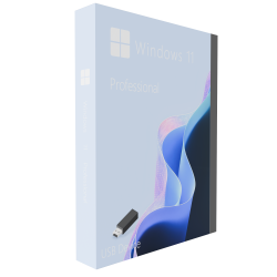 Buy Microsoft Windows 11 Pro 64-bit in Română - USB Retail Version