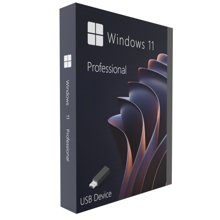 Buy Microsoft Windows 11 Pro 64-bit in Română - USB Retail Version