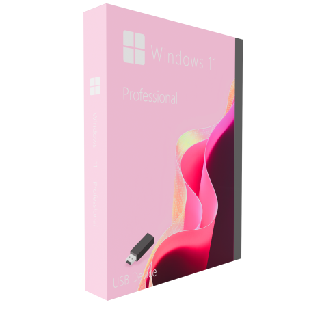Buy Microsoft Windows 11 Pro 64-bit in Română - USB Retail Version