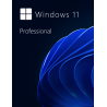 Buy Microsoft Windows 11 Pro 64-bit in Română - USB Retail Version