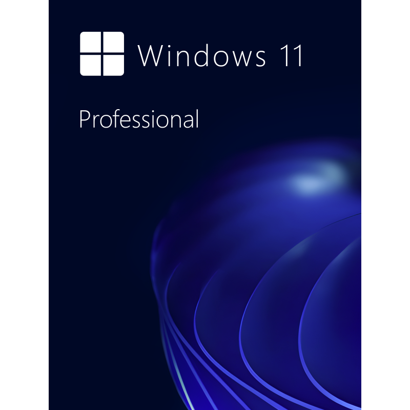 Buy Microsoft Windows 11 Pro 64-bit in Română - USB Retail Version