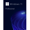 Buy Microsoft Windows 11 Pro 64-bit in Română - USB Retail Version