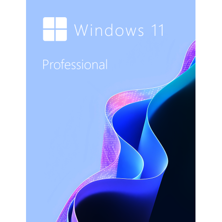 Buy Microsoft Windows 11 Pro 64-bit in Română - USB Retail Version