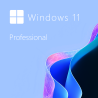 Buy Microsoft Windows 11 Pro 64-bit in Română - USB Retail Version