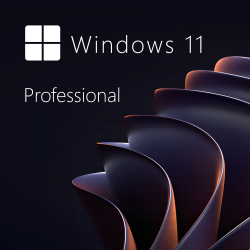 Buy Microsoft Windows 11 Pro 64-bit in Română - USB Retail Version