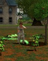The Sims 3 - Celtic Lands DLC EA App CD Key