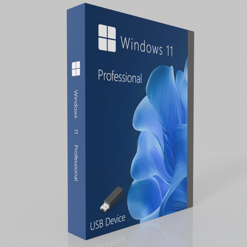 Buy Microsoft Windows 11 Pro 64-bit in Română - USB Retail Version
