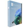 Buy Microsoft Windows 11 Pro 64-bit in Română - USB Retail Version