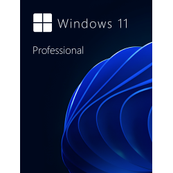 Buy Microsoft Windows 11 Pro 64-bit in Română - USB Retail Version