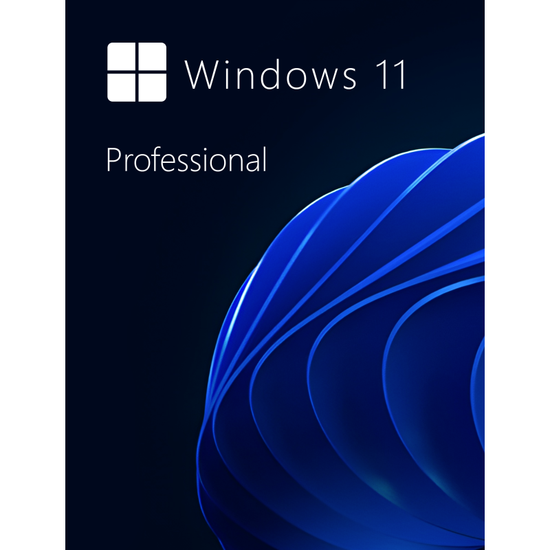 Buy Microsoft Windows 11 Pro 64-bit in Română - USB Retail Version