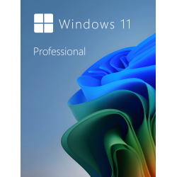 Buy Microsoft Windows 11 Pro 64-bit in Română - USB Retail Version
