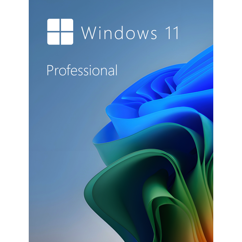 Buy Microsoft Windows 11 Pro 64-bit in Română - USB Retail Version