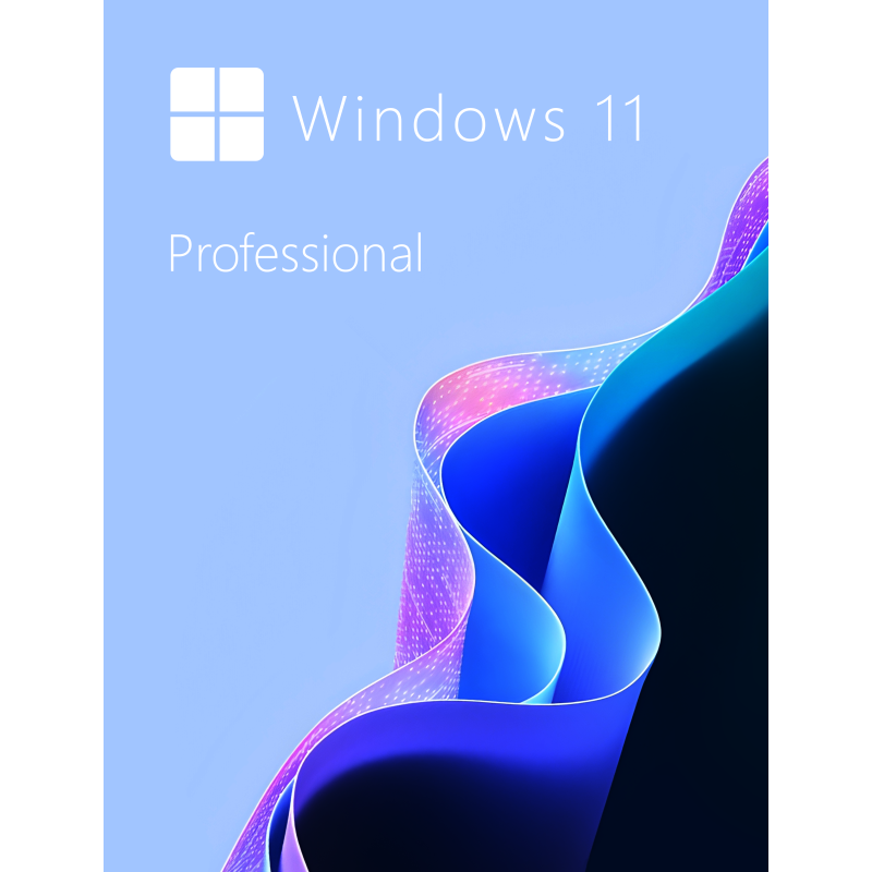 Buy Microsoft Windows 11 Pro 64-bit in Română - USB Retail Version