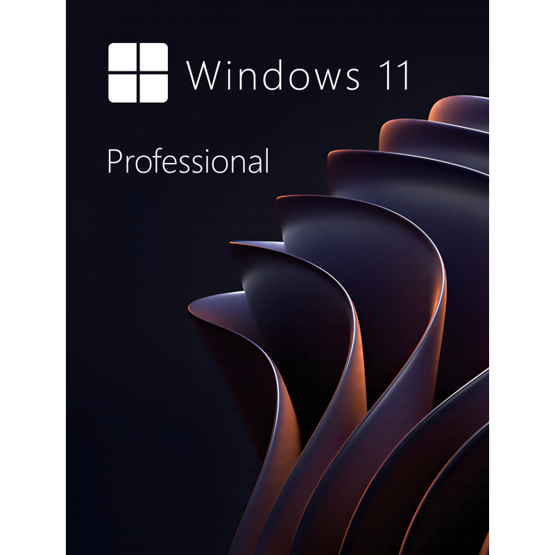 Buy Microsoft Windows 11 Pro 64-bit in Română - USB Retail Version