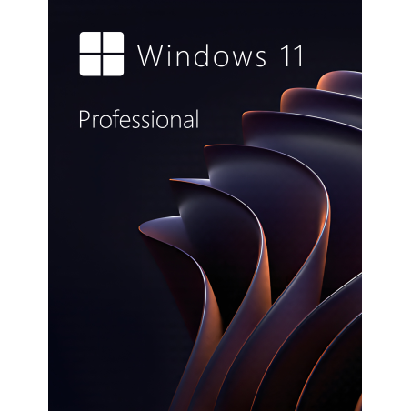 Buy Microsoft Windows 11 Pro 64-bit in Română - USB Retail Version