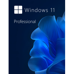Buy Microsoft Windows 11 Pro 64-bit in Română - USB Retail Version