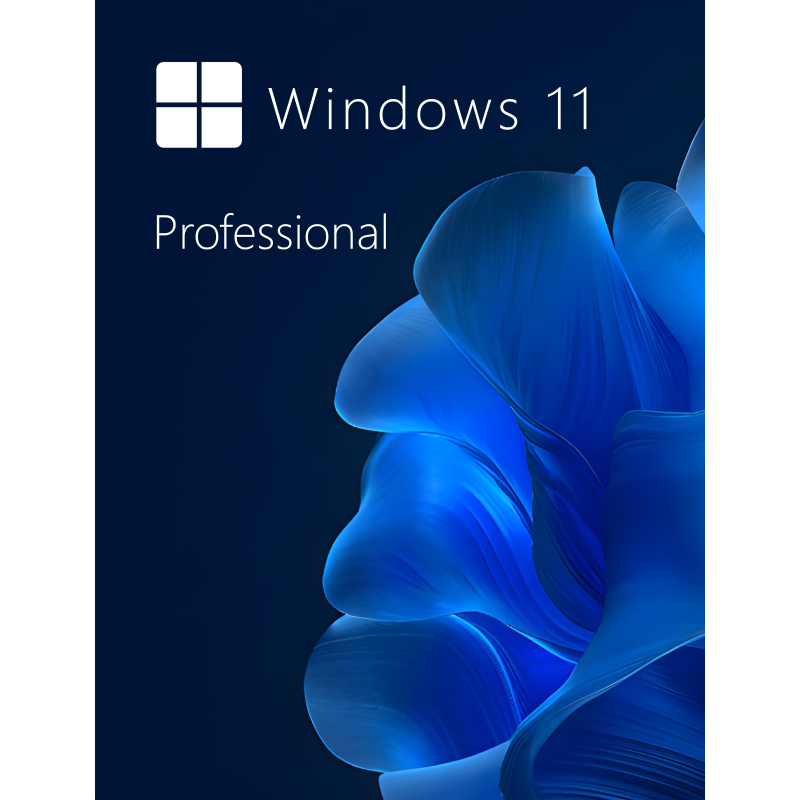 Buy Microsoft Windows 11 Pro 64-bit in Română - USB Retail Version