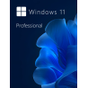 Buy Microsoft Windows 11 Pro 64-bit in Română - USB Retail Version