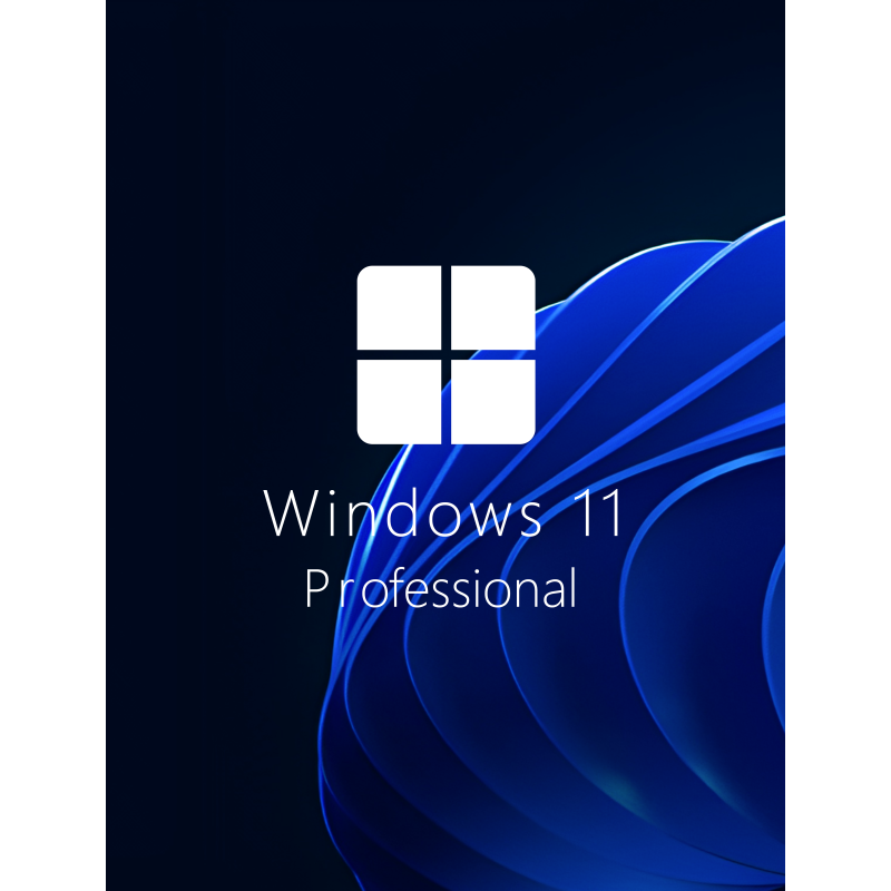 Buy Microsoft Windows 11 Pro 64-bit in Română - USB Retail Version