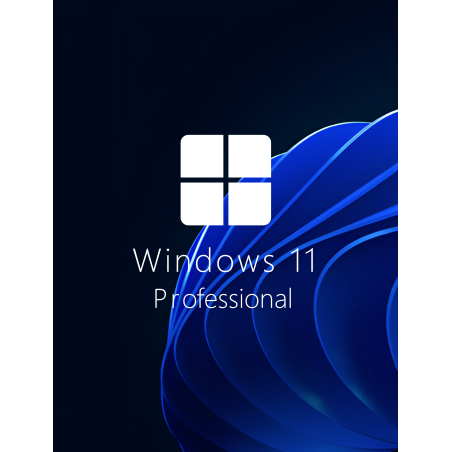 Buy Microsoft Windows 11 Pro 64-bit in Română - USB Retail Version