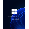 Buy Microsoft Windows 11 Pro 64-bit in Română - USB Retail Version