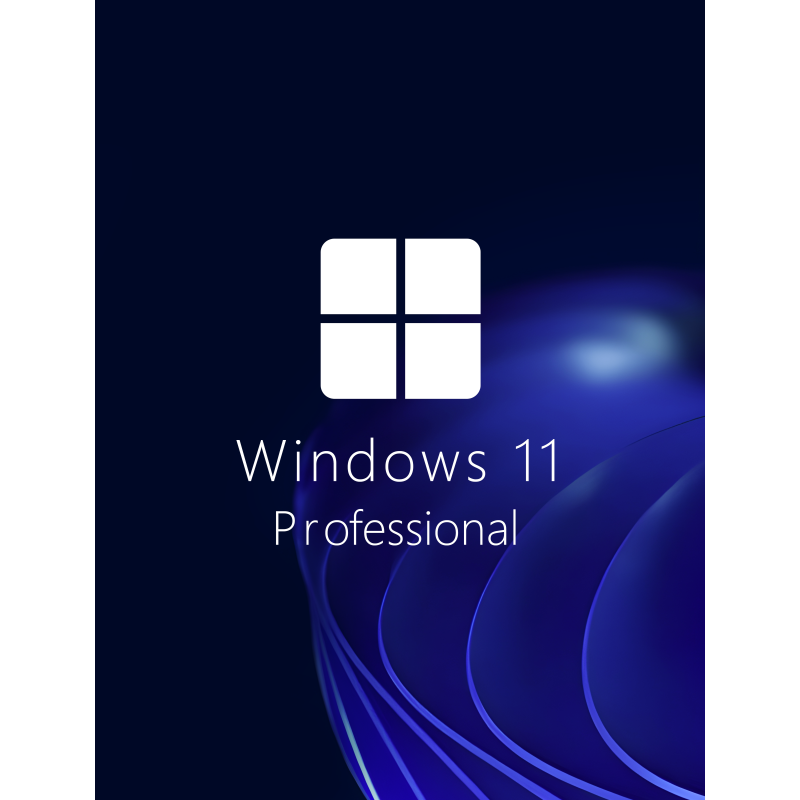 Buy Microsoft Windows 11 Pro 64-bit in Română - USB Retail Version