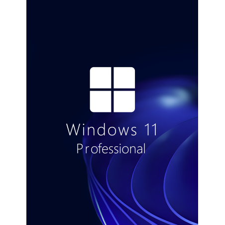 Buy Microsoft Windows 11 Pro 64-bit in Română - USB Retail Version