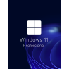 Buy Microsoft Windows 11 Pro 64-bit in Română - USB Retail Version