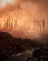 Battlefield 1 - DLC EA App CD Key They Shall Not Pass