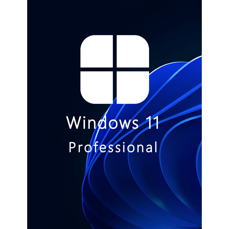 Buy Microsoft Windows 11 Pro 64-bit in Română - USB Retail Version