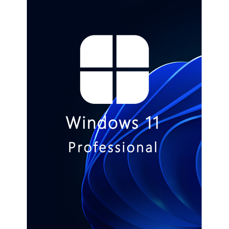 Buy Microsoft Windows 11 Pro 64-bit in Română - USB Retail Version