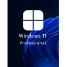 Buy Microsoft Windows 11 Pro 64-bit in Română - USB Retail Version