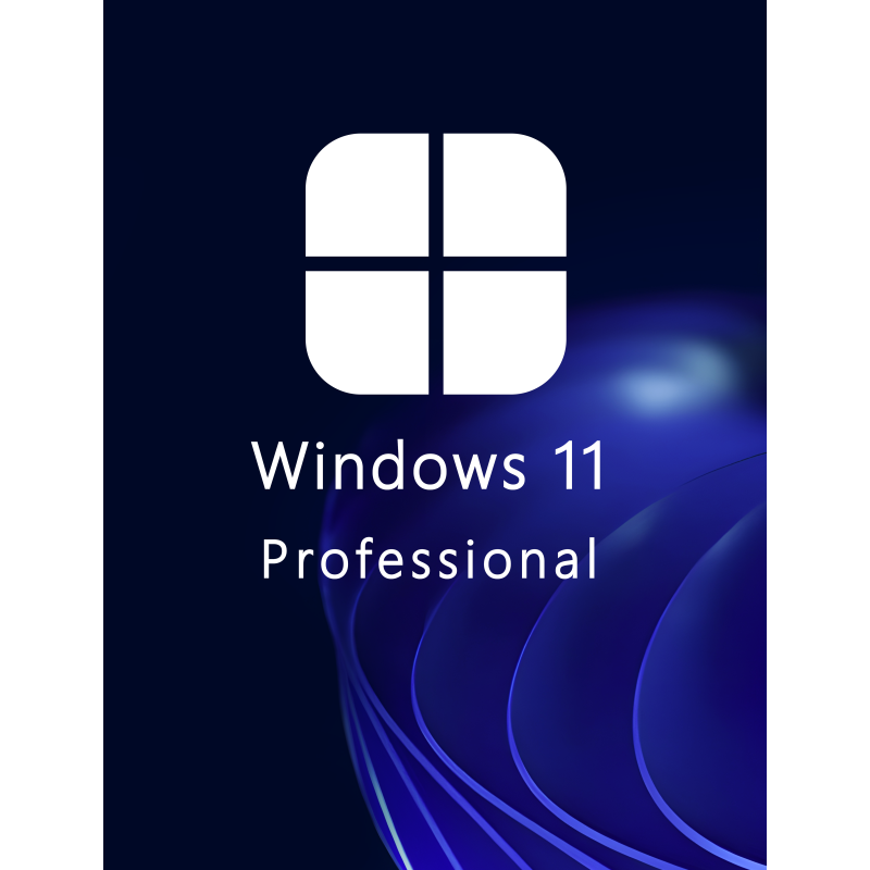 Buy Microsoft Windows 11 Pro 64-bit in Română - USB Retail Version