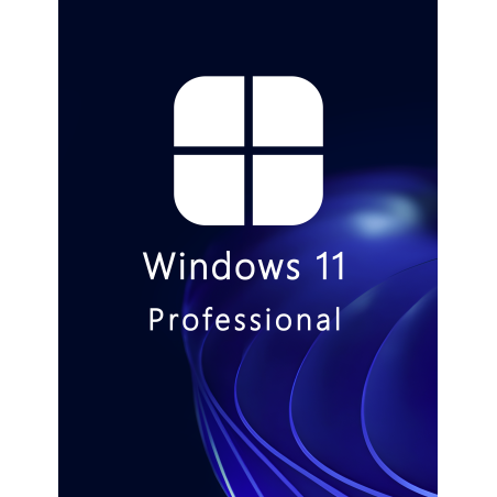 Buy Microsoft Windows 11 Pro 64-bit in Română - USB Retail Version