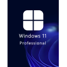 Buy Microsoft Windows 11 Pro 64-bit in Română - USB Retail Version
