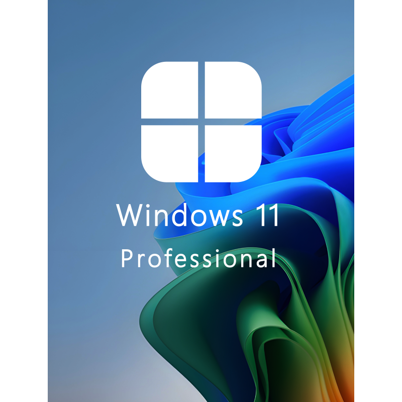 Buy Microsoft Windows 11 Pro 64-bit in Română - USB Retail Version