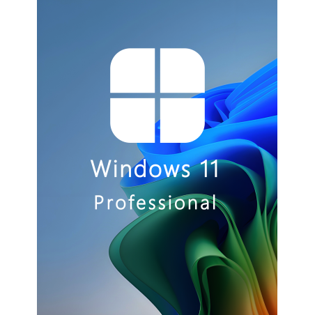 Buy Microsoft Windows 11 Pro 64-bit in Română - USB Retail Version
