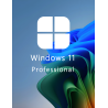Buy Microsoft Windows 11 Pro 64-bit in Română - USB Retail Version