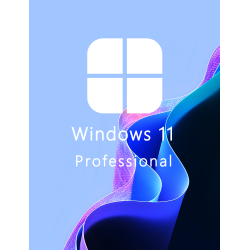 Buy Microsoft Windows 11 Pro 64-bit in Română - USB Retail Version