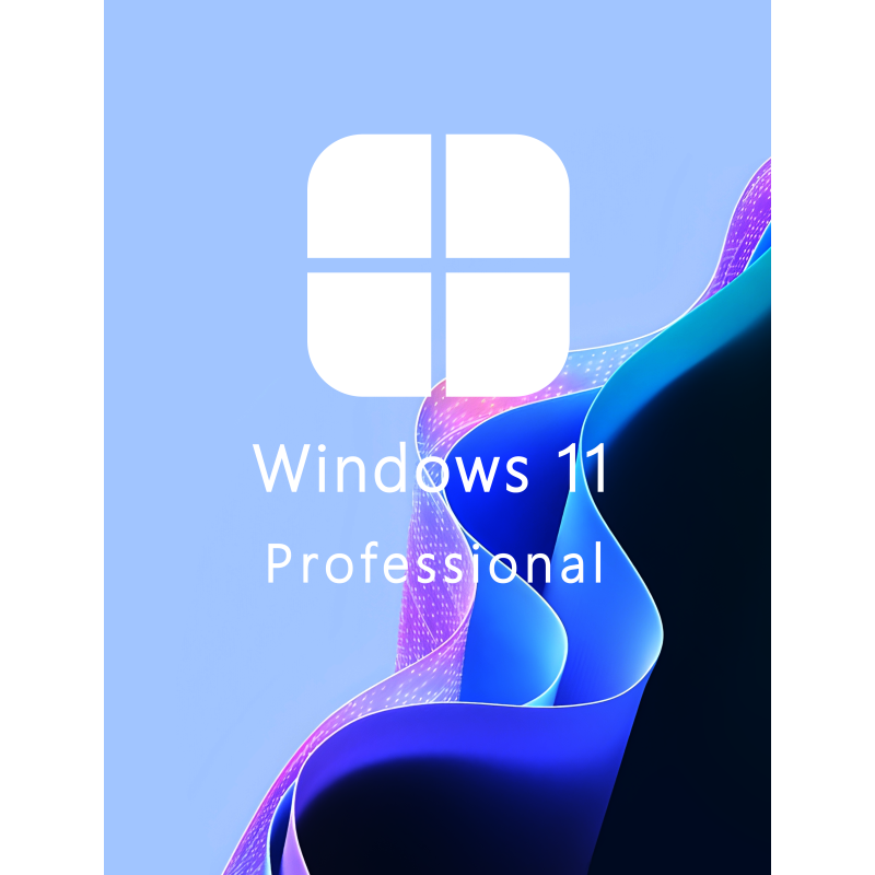Buy Microsoft Windows 11 Pro 64-bit in Română - USB Retail Version