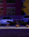 The Sims 3 - Pets Expansion Steam Gift