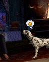 The Sims 3 - Pets Expansion Steam Gift