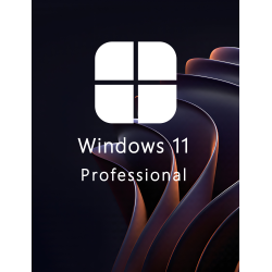 Buy Microsoft Windows 11 Pro 64-bit in Română - USB Retail Version