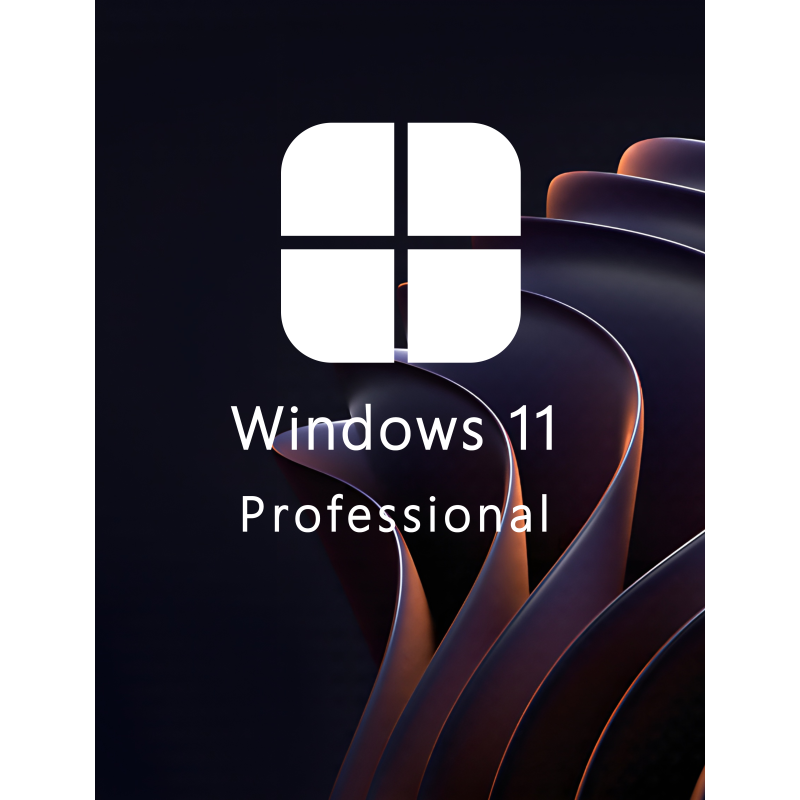 Buy Microsoft Windows 11 Pro 64-bit in Română - USB Retail Version