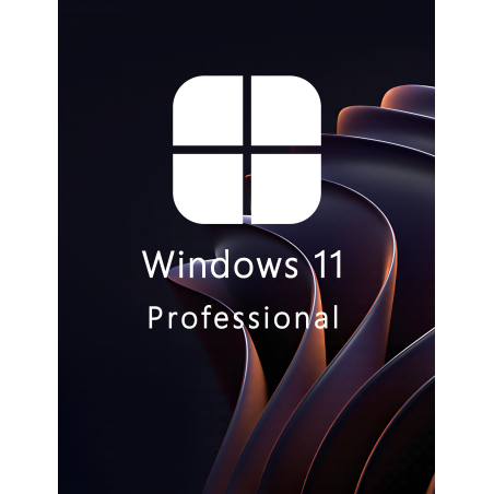 Buy Microsoft Windows 11 Pro 64-bit in Română - USB Retail Version