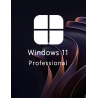 Buy Microsoft Windows 11 Pro 64-bit in Română - USB Retail Version