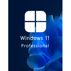 Buy Microsoft Windows 11 Pro 64-bit in Română - USB Retail Version