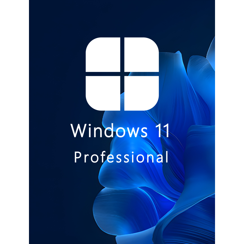 Buy Microsoft Windows 11 Pro 64-bit in Română - USB Retail Version